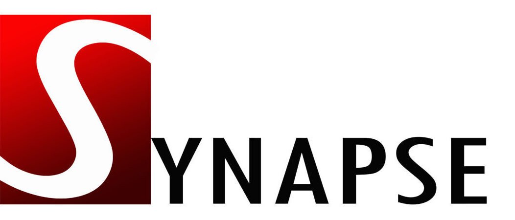 synapseg.com